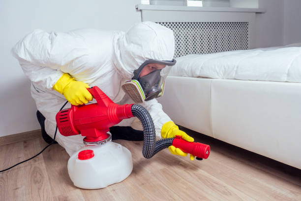 Best Pest Control Near Me  in Rossville, KS