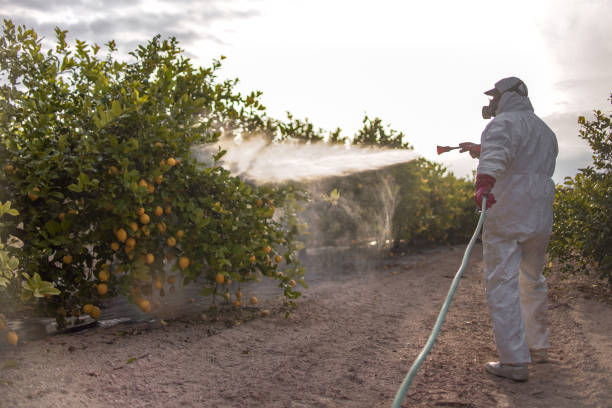 Professional Pest Control in Rossville, KS